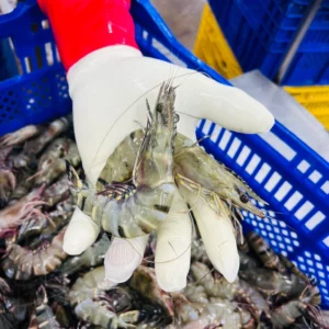 449957827_466105263006872_3866196578168158533_n